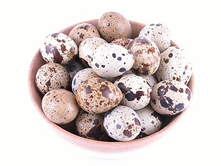 Image showing bowl of quail eggs