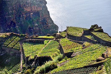 Image showing South coast of Madeira island - Portugal