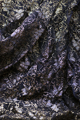 Image showing Black textile   