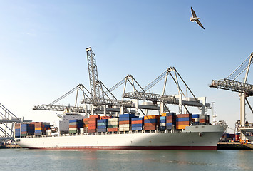 Image showing Container ship