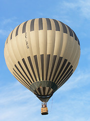 Image showing Brown Balloon