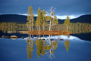 Image showing Trees looking in watermirror