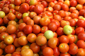 Image showing Tomato