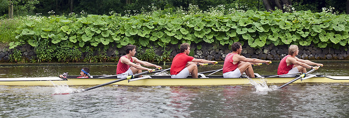 Image showing Coxed four on a canal