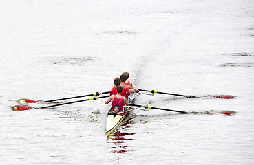 Image showing Rowing