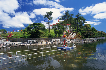 Image showing Crater Lake at Grand Bassin Mauritius Island