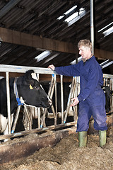 Image showing Farmer and cow