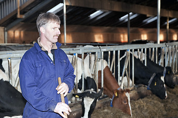 Image showing Dairy farmer