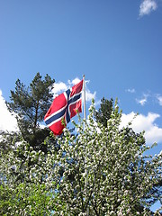 Image showing Norwegian flag flying on may seventeenth