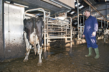 Image showing Milking robot