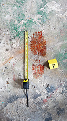 Image showing Bloody Footprint