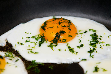 Image showing Fried egg