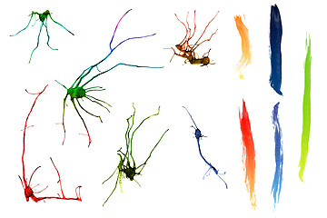 Image showing Abstract ink strokes ans splatters