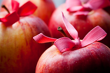 Image showing Red Christmas apples