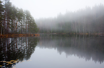 Image showing Silent water