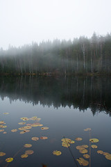 Image showing Silent pond