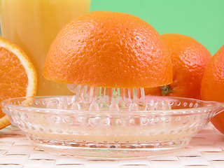 Image showing orange squeezer