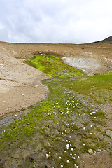 Image showing Geothermal Spring