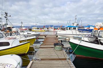 Image showing Arctic Fishing Fleet