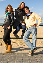 Image showing Friends at the beach