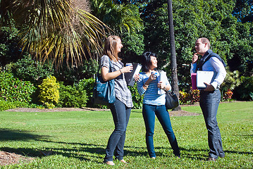 Image showing Fun in the park