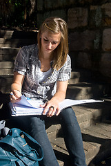Image showing Studying student