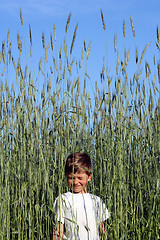 Image showing A Kid in Rye