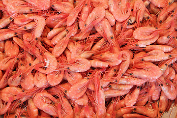 Image showing Shrimps