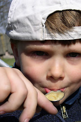 Image showing Boy Eating Honey