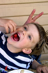 Image showing Boy Eating a Cherry