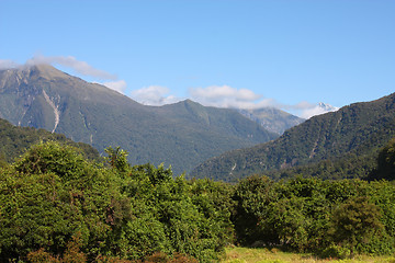 Image showing Westland National Park