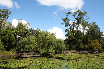 Image showing Brisbane Botanical Gardens