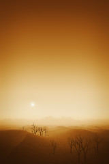 Image showing desert landscape