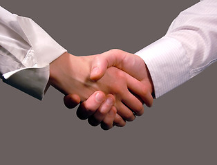 Image showing Business handshake ,woman and man