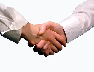 Image showing Business handshake ,woman and man