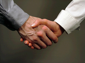 Image showing Business handshake ,woman and man