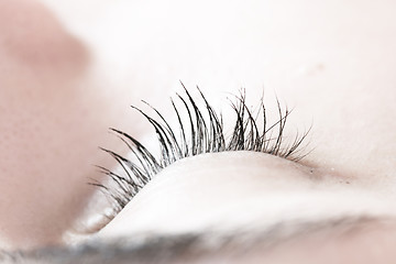 Image showing Beautiful young woman sleeping.