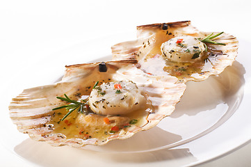 Image showing Grilled scallops