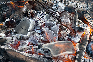 Image showing Campfire burning coal