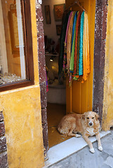 Image showing Dog at the Gift Shop Entrance