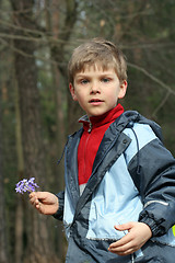 Image showing Child and Nature