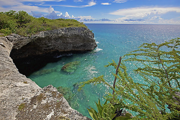 Image showing Turquoise Curacao