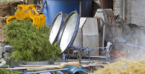 Image showing Herbal Essence Distillery