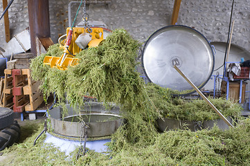 Image showing Herbal essence distillery