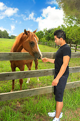 Image showing Man feeding a horse in a paddock