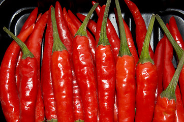 Image showing RED HOT Chilis