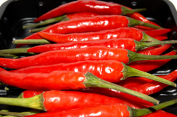 Image showing RED HOT Chilis