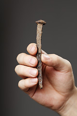 Image showing Nail