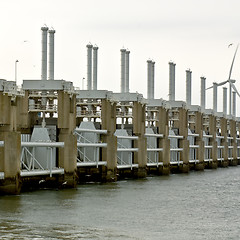 Image showing Seagulls around the Oosterschelde Storm Barrier