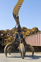 Image showing Scrap heap claw